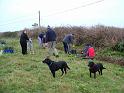 Planting Trees 003